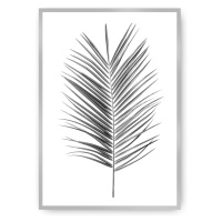 Dekoria Plakát Palm Leaf Green, 30 x 40 cm, Vybrat rám: Stříbrný