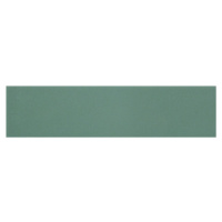 Obklad Ribesalbes Chic Colors sage 10x30 cm lesk CHICC1514