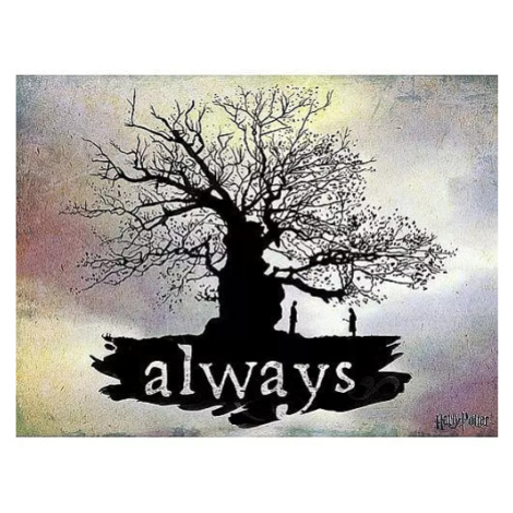 Obraz na plátně Harry Potter - Always Pyramid