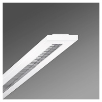 Regiolux Stail SAX LED rastrová lampa parabolická 1500-1
