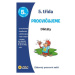 Diktáty 5. třída procvičujeme - Zábavný pracovní sešit
