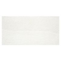 Obklad Stylnul Windsor white 25x50 cm mat WINDSORWH