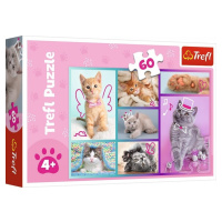 Trefl puzzle 60 dílků - Roztomilé kočky