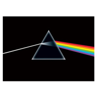 Plakát, Obraz - Pink Floyd - Dark Side, (91.5 x 61 cm)