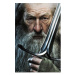 Plakát The Lord of the Rings  - Gandalf (180)