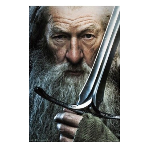 Plakát The Lord of the Rings  - Gandalf (180) Europosters