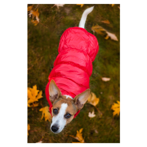 Vsepropejska Warm zimní bunda pro psa s kožichem Barva: Červená, Délka zad (cm): 19, Obvod hrudn