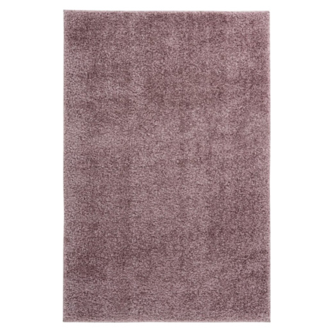 Obsession koberce Kusový koberec Emilia 250 powder purple Rozměry koberců: 60x110
