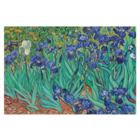 Plakát, Obraz - Vincent van Gogh - Les Irises, 91.5 × 61 cm