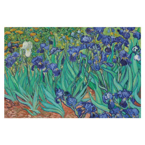 Plakát, Obraz - Vincent van Gogh - Les Irises, 91.5 × 61 cm