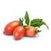 BIO Mini růžová rajčata pro SMART květináče Véritable