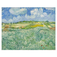 Obrazová reprodukce Plain at Auvers, 1890, Vincent van Gogh, 40 × 30 cm