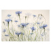 Ilustrace Cornflowers, Nel Talen, 40 × 26.7 cm