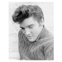 Fotografie Elvis Presley, 30 × 40 cm