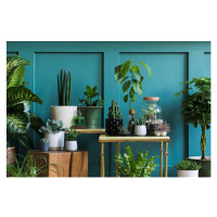 Fotografie Stylish composition of home garden interior, FollowTheFlow, 40 × 26.7 cm