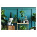 Fotografie Stylish composition of home garden interior, FollowTheFlow, 40 × 26.7 cm