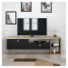 Hanah Home TV stolek Parion 150 cm dub/černý