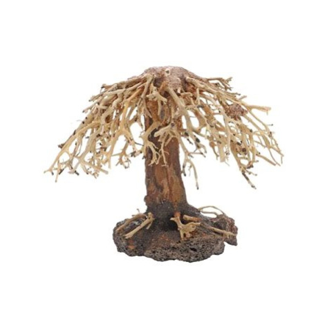 Dupla Weeping Willow 2 přírodní dřevěná dekorace 22 × 18 × 13 cm Hobby Dohse