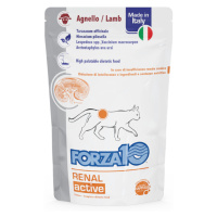 Forza10 Actiwet Renal active wet lamb pro kočky - 24 x 100 g