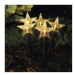 EMOS LED vánoční zapichovací hvězdy Figar s časovačem 35 cm teplá bílá
