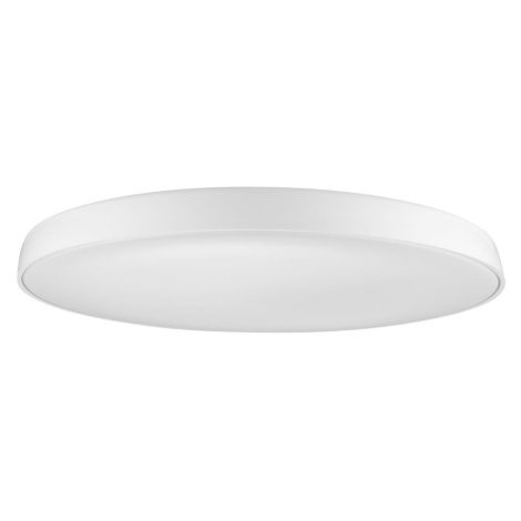 Azzardo  - LED Stropní svítidlo CORTONA 1xLED/50W/230V 4000K
