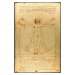 Plakát, Obraz - Vitruviánský muž, 61x91.5 cm