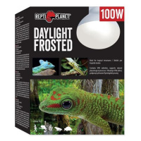 Žárovka REPTI PLANET Daylight Frosted 100 W