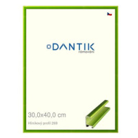 DANTIK rámeček 30 × 40, ALU profil 7269 Zelený Smaragd broušený plexi čiré