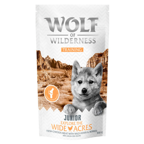 Wolf of Wilderness Training "Explore" snack, 100g - 15 % sleva - 100 g JUNIOR “Explore the Wide 