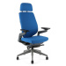 Kancelářská ergonomická židle Office Pro KARME — více barev, s podhlavníkem a područkami Modrá F