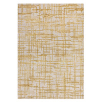 Žlutý koberec 160x230 cm Mason – Asiatic Carpets