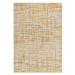 Žlutý koberec 160x230 cm Mason – Asiatic Carpets