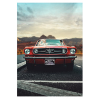 Umělecká fotografie Mustang Love, Fadil Roze, (26.7 x 40 cm)