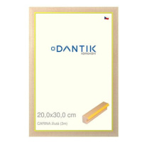 DANTIK rámeček 20 × 30, CARINA žlutý sklo čiré