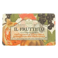 Nesti Dante IL Frutteto Pomegranate & Blackcurrant 250 g