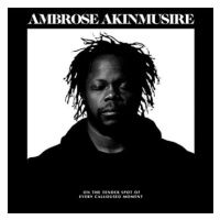 Ambrose Akinmusire: On the Tender Spot of Every Calloused Moment - CD