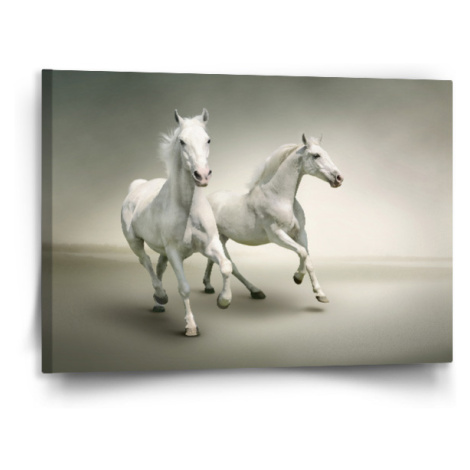 Obraz Dva bílí koně - 120x80 cm