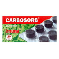 Carbosorb 320mg 20 tablet