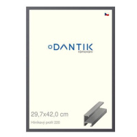 DANTIK rámeček 29,7 × 42, ALU profil 6220 Ocelový plexi čiré