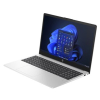 HP 255 G10 Silver