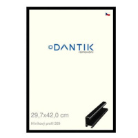 DANTIK rámeček 29,7 × 42, ALU profil 7269 Černý lesklý plexi čiré