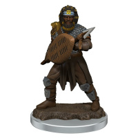 WizKids D&D Icons of the Realms Premium Figures: Male Human Fighter