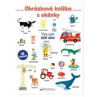 Obrázková knížka s okénky Svojtka & Co. s. r. o.