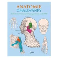 Anatomie omalovánky - Henry Gray, Henry Carter