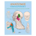 Anatomie omalovánky - Henry Gray, Henry Carter