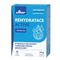 Vitar Rehydratace Active 10x4.3g