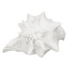 Soška z polyresinu (výška 13 cm) Seashell – Ixia