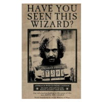 Harry Potter Wanted Sirius Black