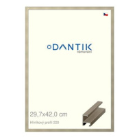 DANTIK rámeček 29,7 × 42, ALU profil 6220 champagne plexi čiré