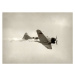 Fotografie Retro fighter airplane, MMADIA, 40 × 30 cm